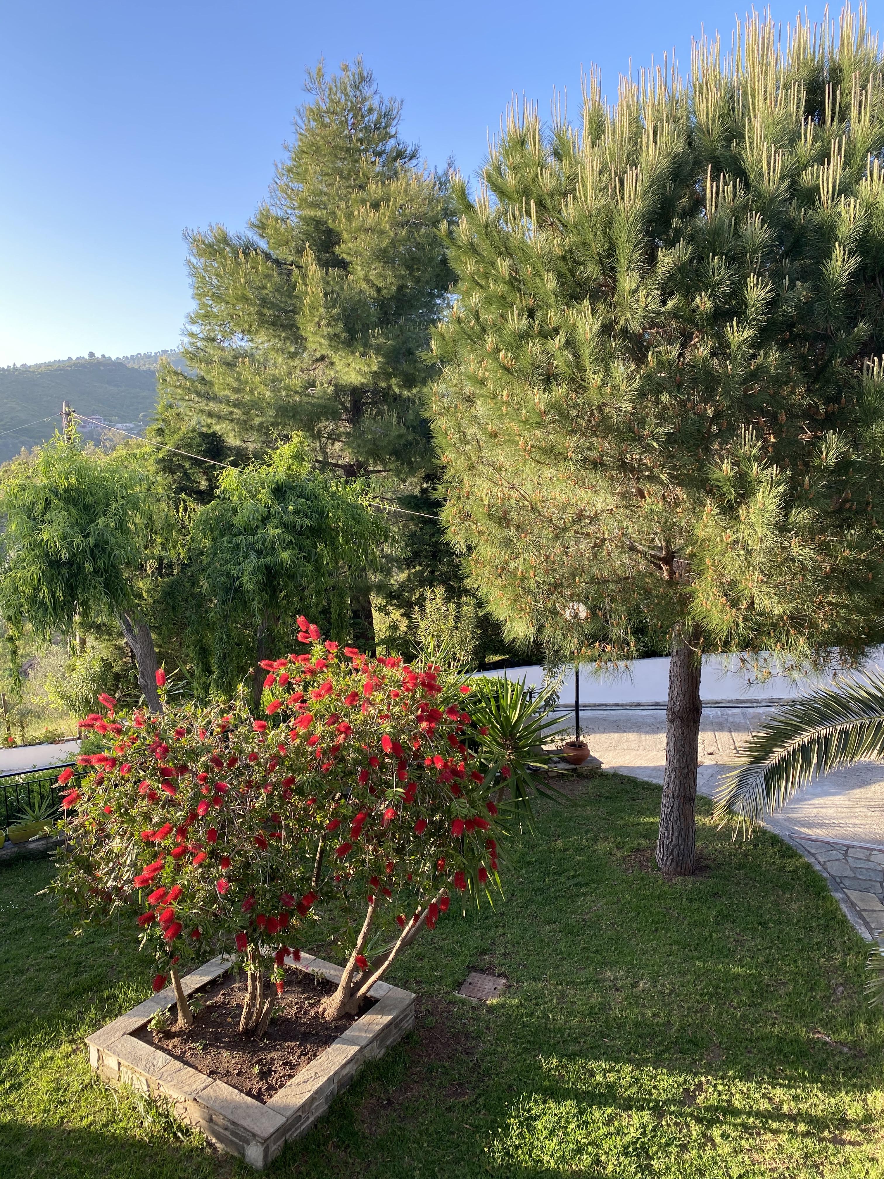 Villa Xanthippi Agia Paraskevi  Ngoại thất bức ảnh